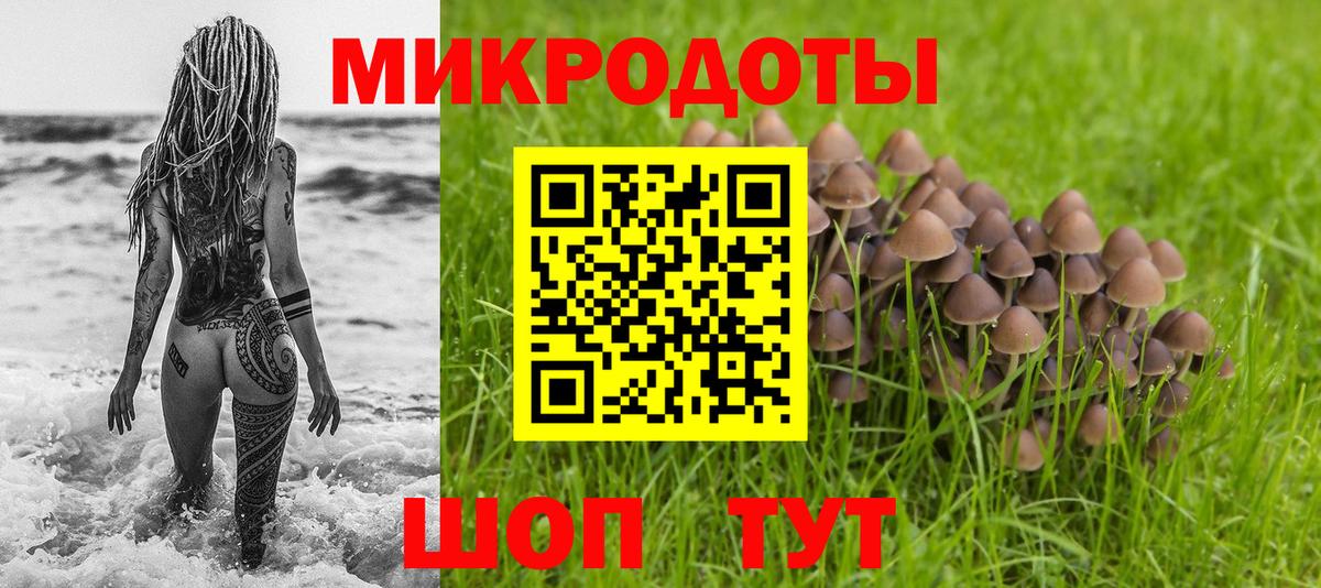Галлюциногенные грибы Cubensis Амурск