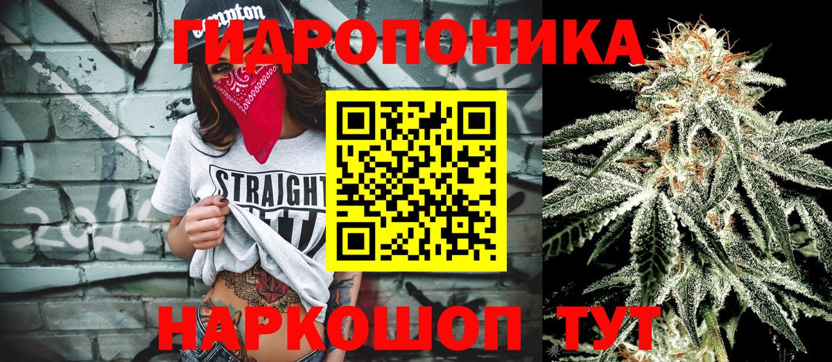 Каннабис Amnesia Амурск